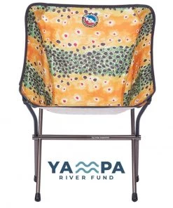 Big Agnes Mica Basin Camp Chair -Big Agnes Sales MICA BrownTrout front 009
